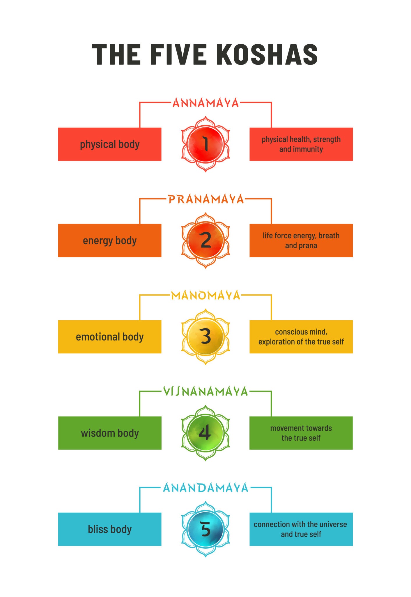 The 5 Koshas Infographic
